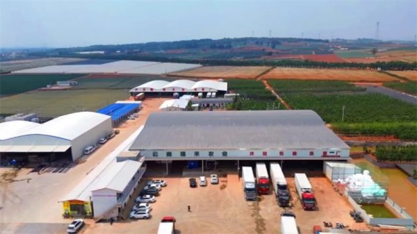 达人配资 援滇县长讲故事｜泸西：打通蔬菜出村进城的“最后一公里”