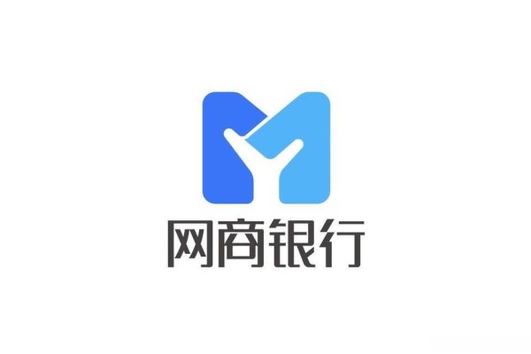 上升浪 网商银行, 理想与现实的10年博弈