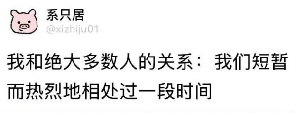 策略大赢家 处女座本人